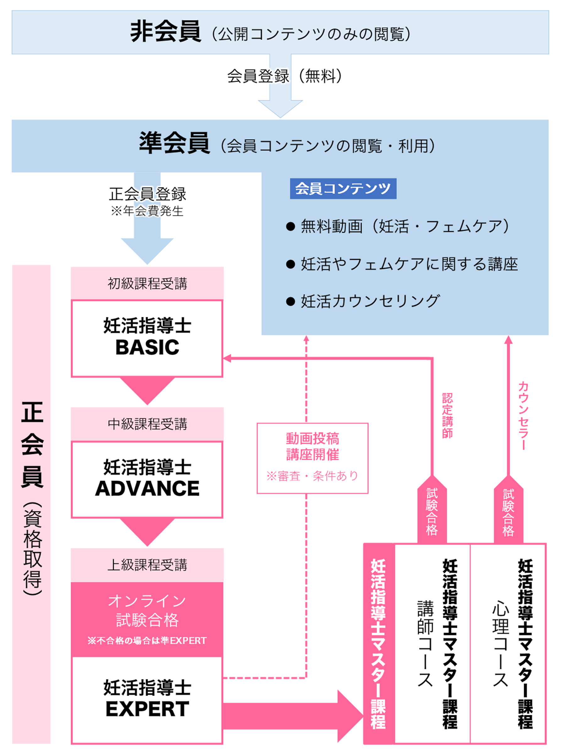 FEMICA認定の「妊活指導士」になる流れ